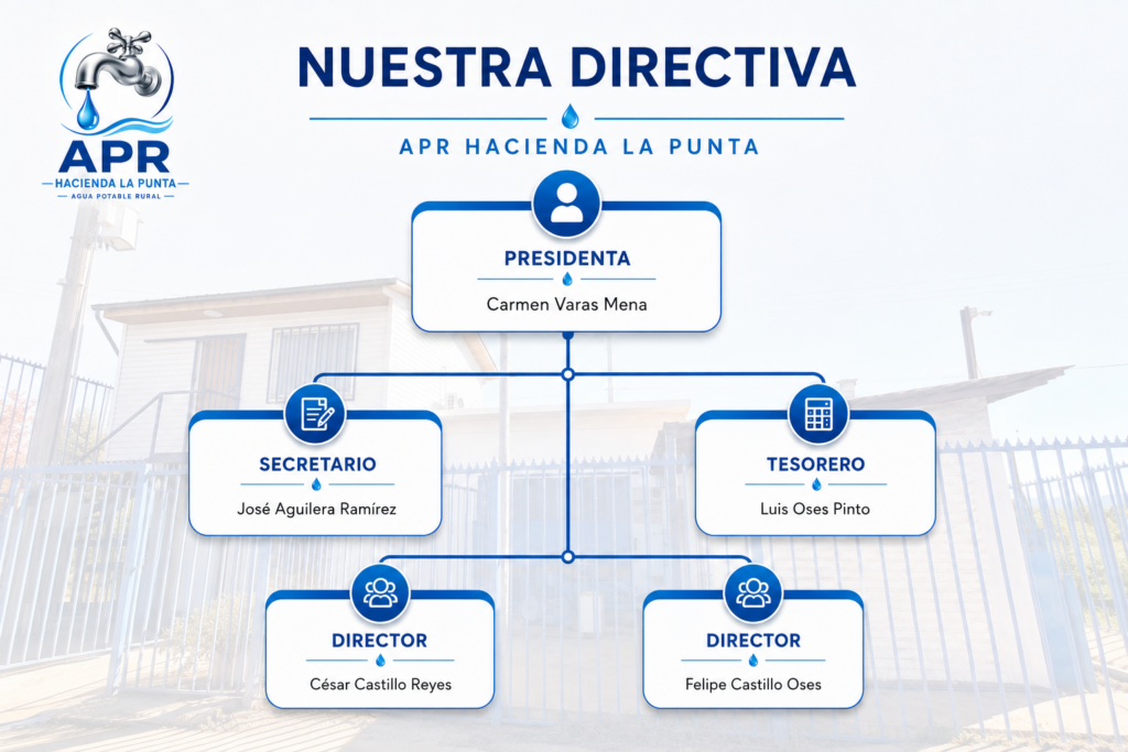 ORGANIGRAMA